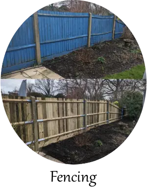 fencing