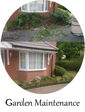 garden maintenance