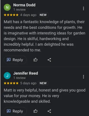 review image3